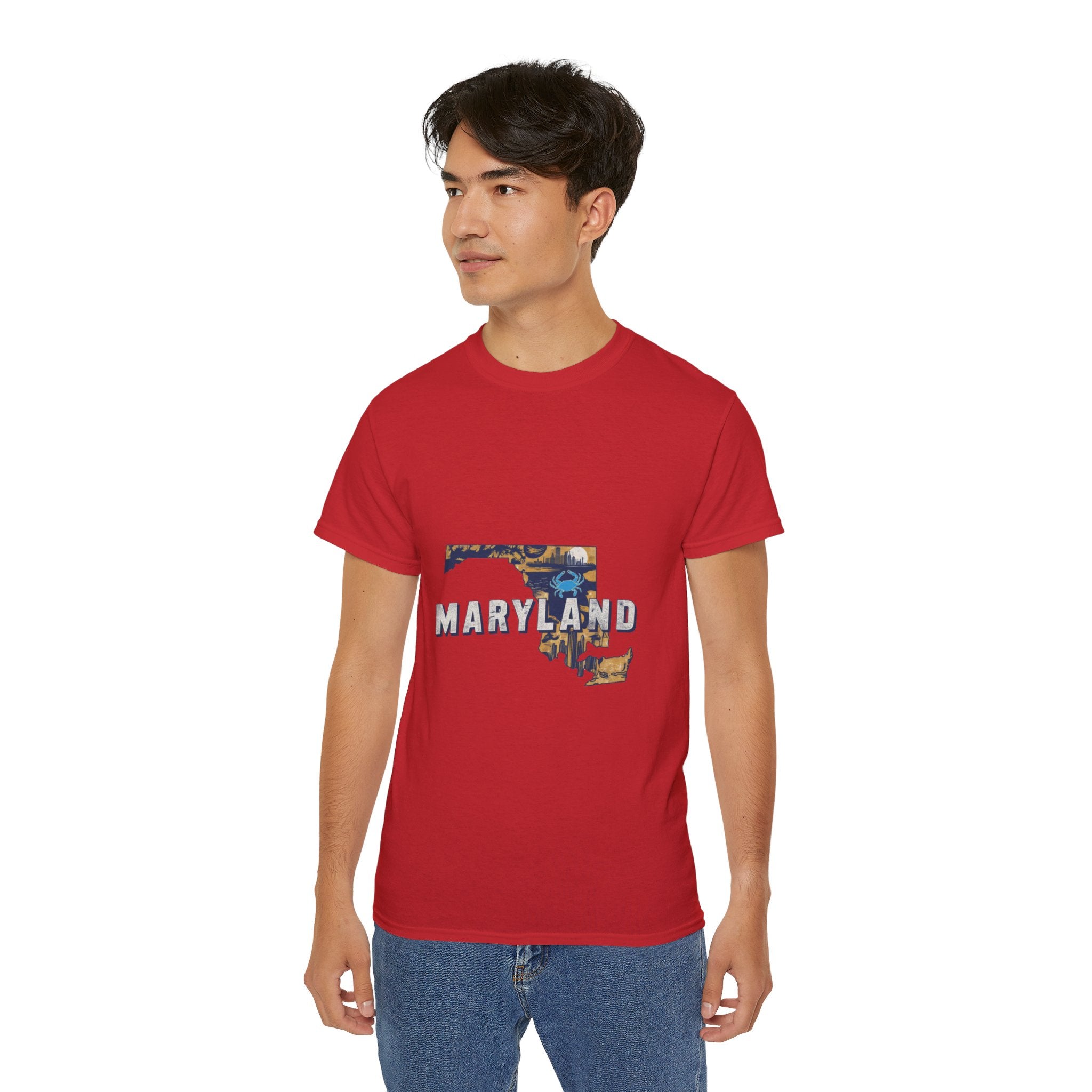 États américains emblématiques rétro : t-shirt Maryland