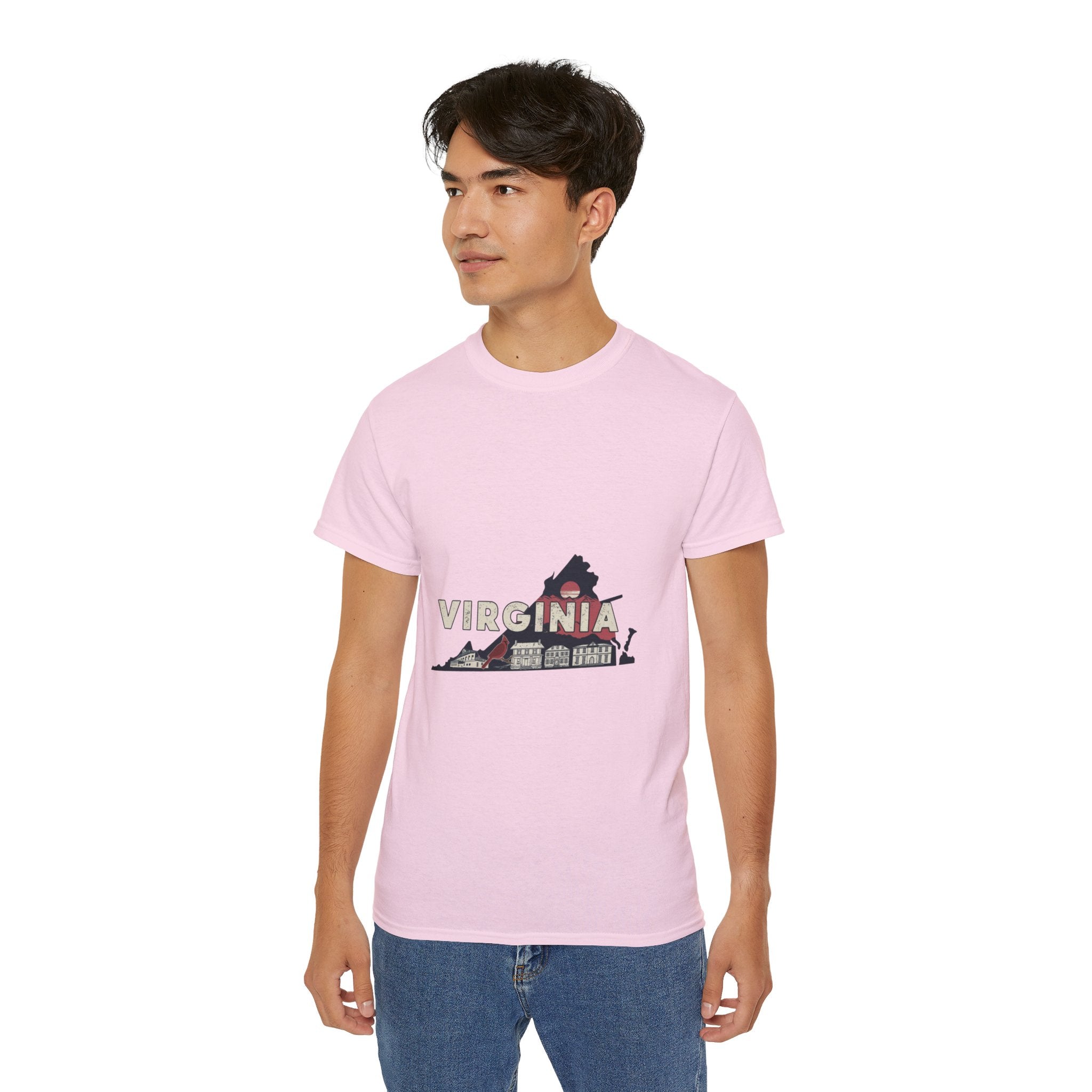 Retro  Iconic U.S. States : Virginia t-shirt