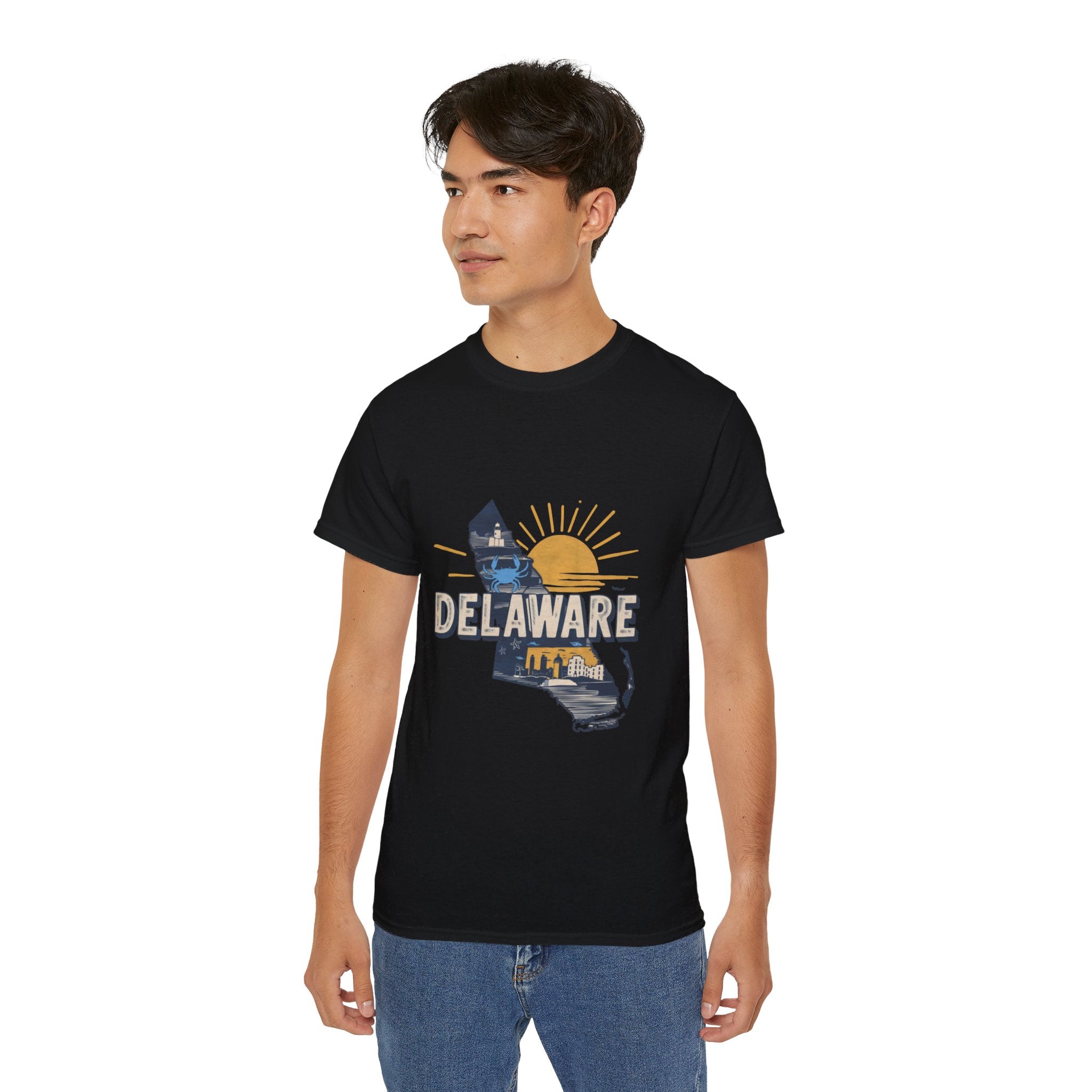 Retro  Iconic U.S. States : Delaware t-shirt