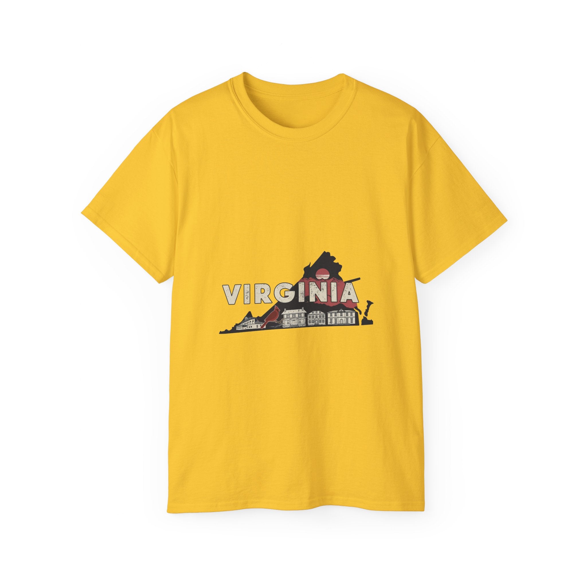 Retro  Iconic U.S. States : Virginia t-shirt