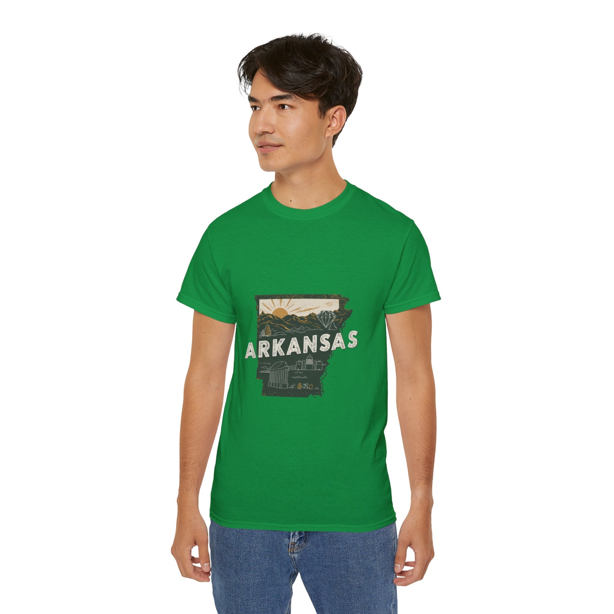 Retro  Iconic U.S. States : Arkansas t-shirt