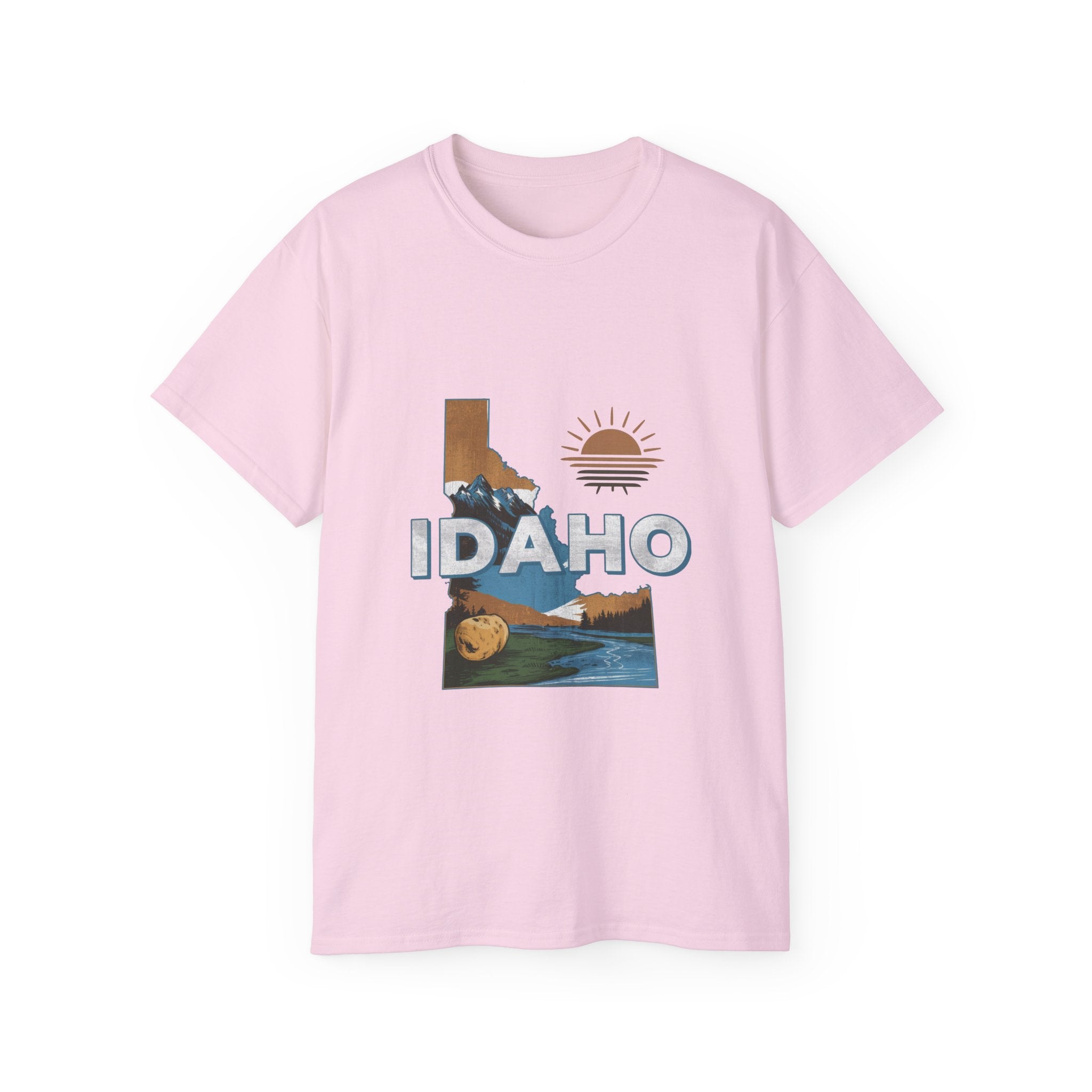 Retro  Iconic U.S. States : Idaho t-shirt