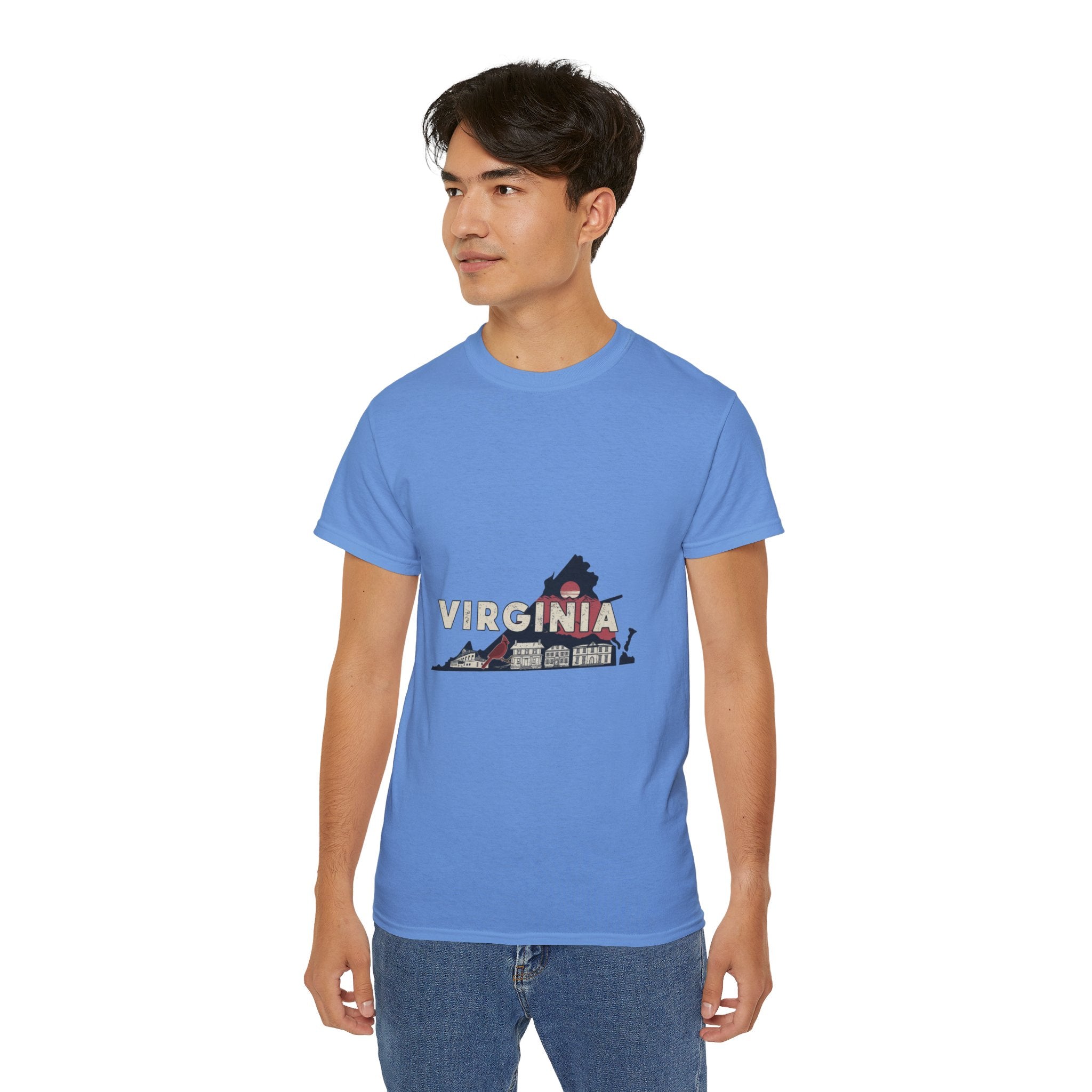 Retro  Iconic U.S. States : Virginia t-shirt