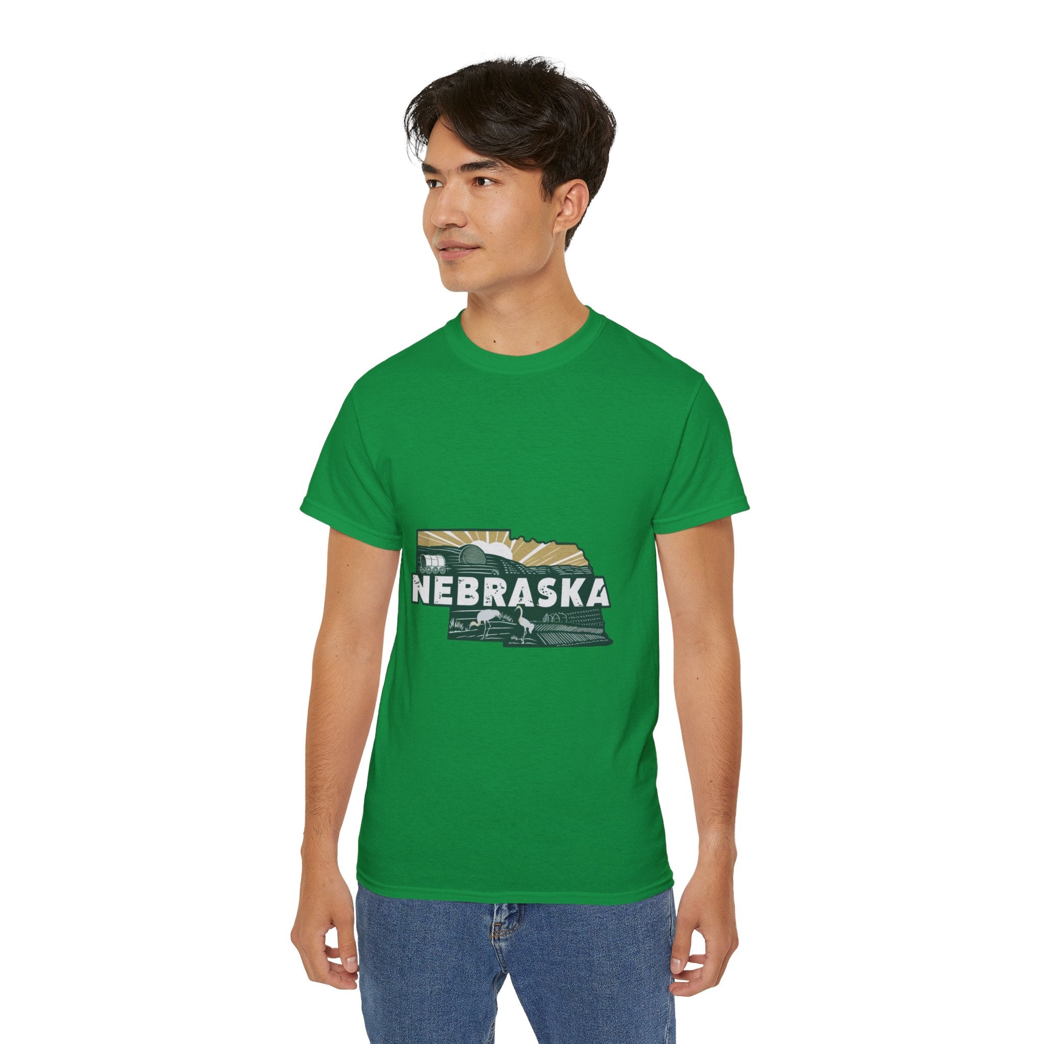 Retro  Iconic U.S. States : Nebraska t-shirt