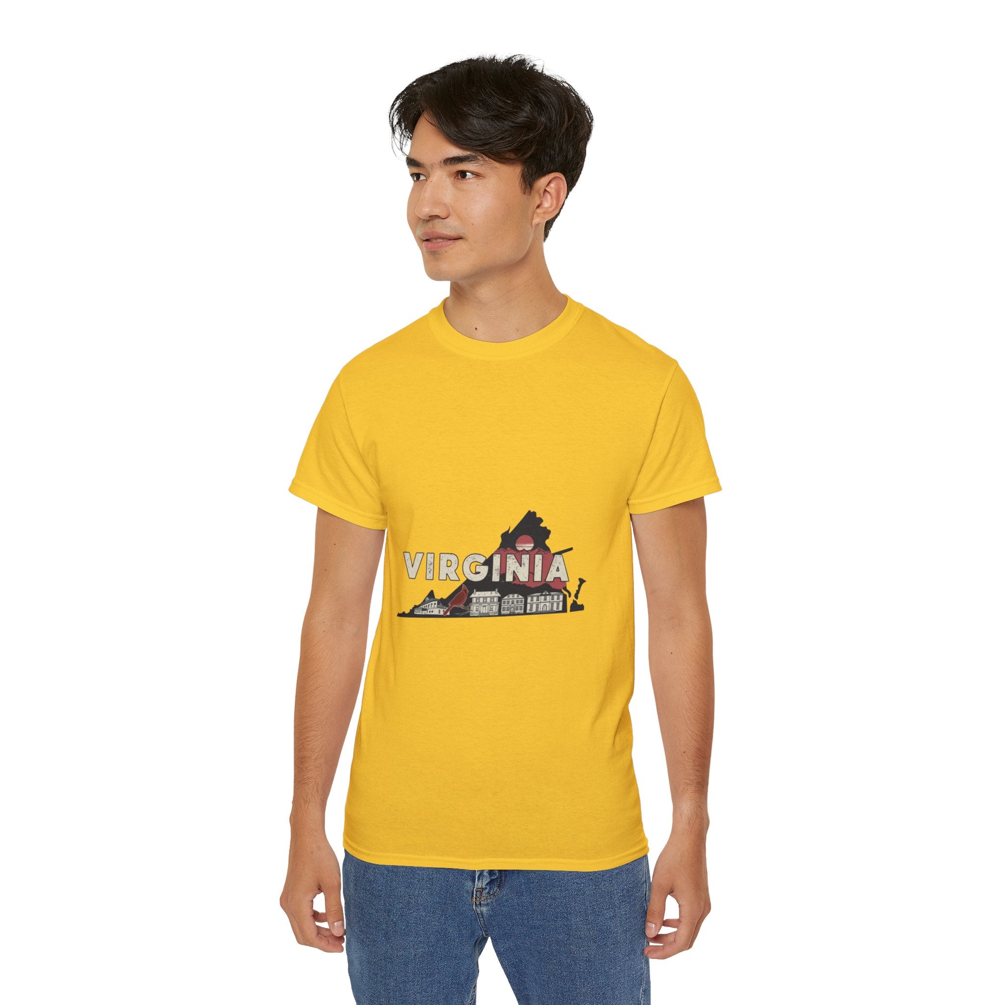 Retro  Iconic U.S. States : Virginia t-shirt