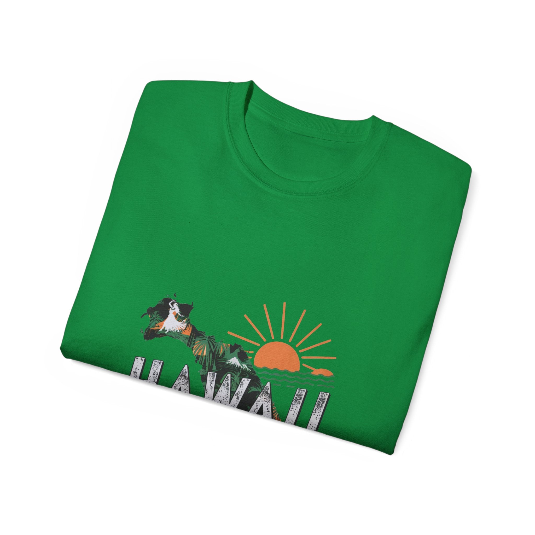 Retro  Iconic U.S. States : Hawaii t-shirt