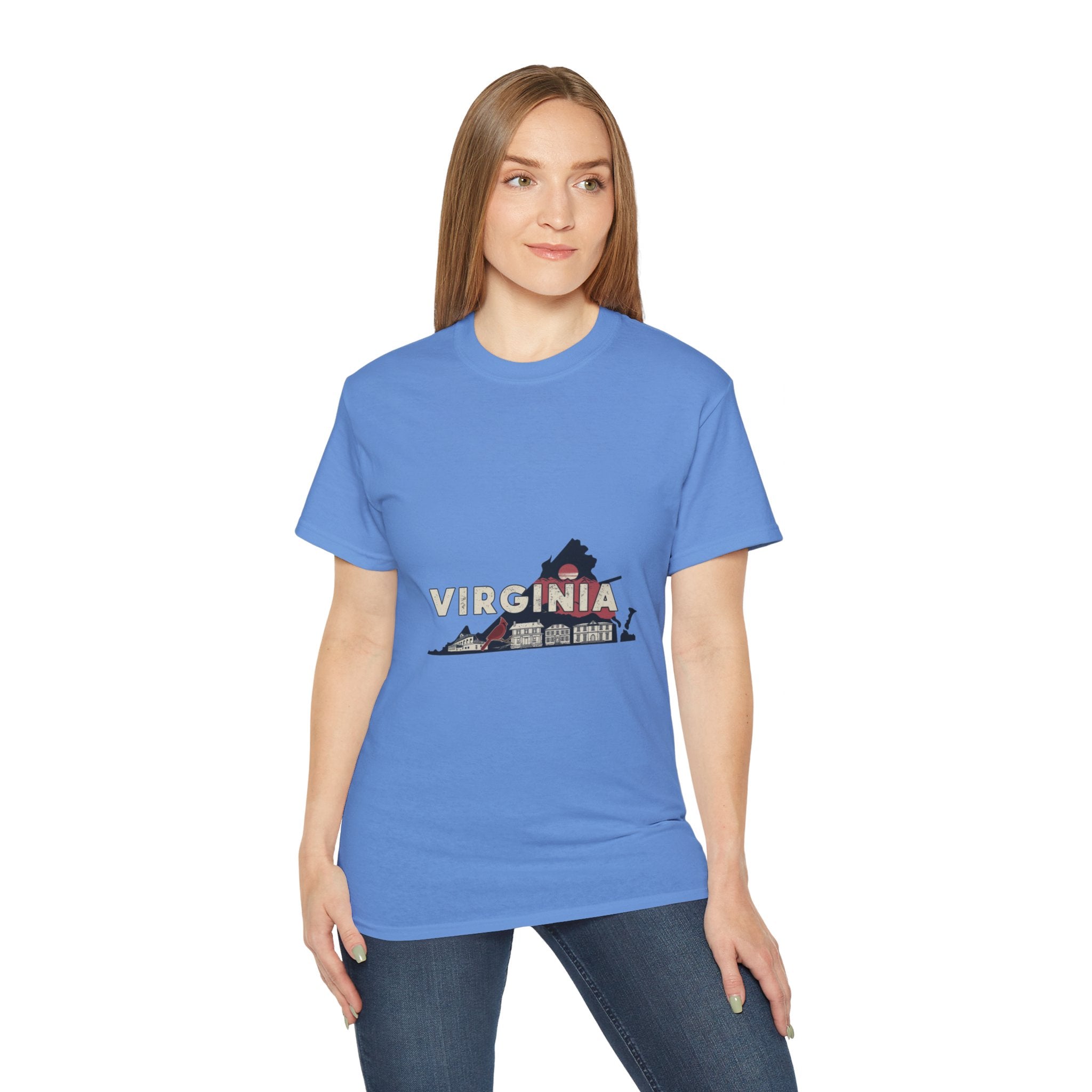 Retro  Iconic U.S. States : Virginia t-shirt