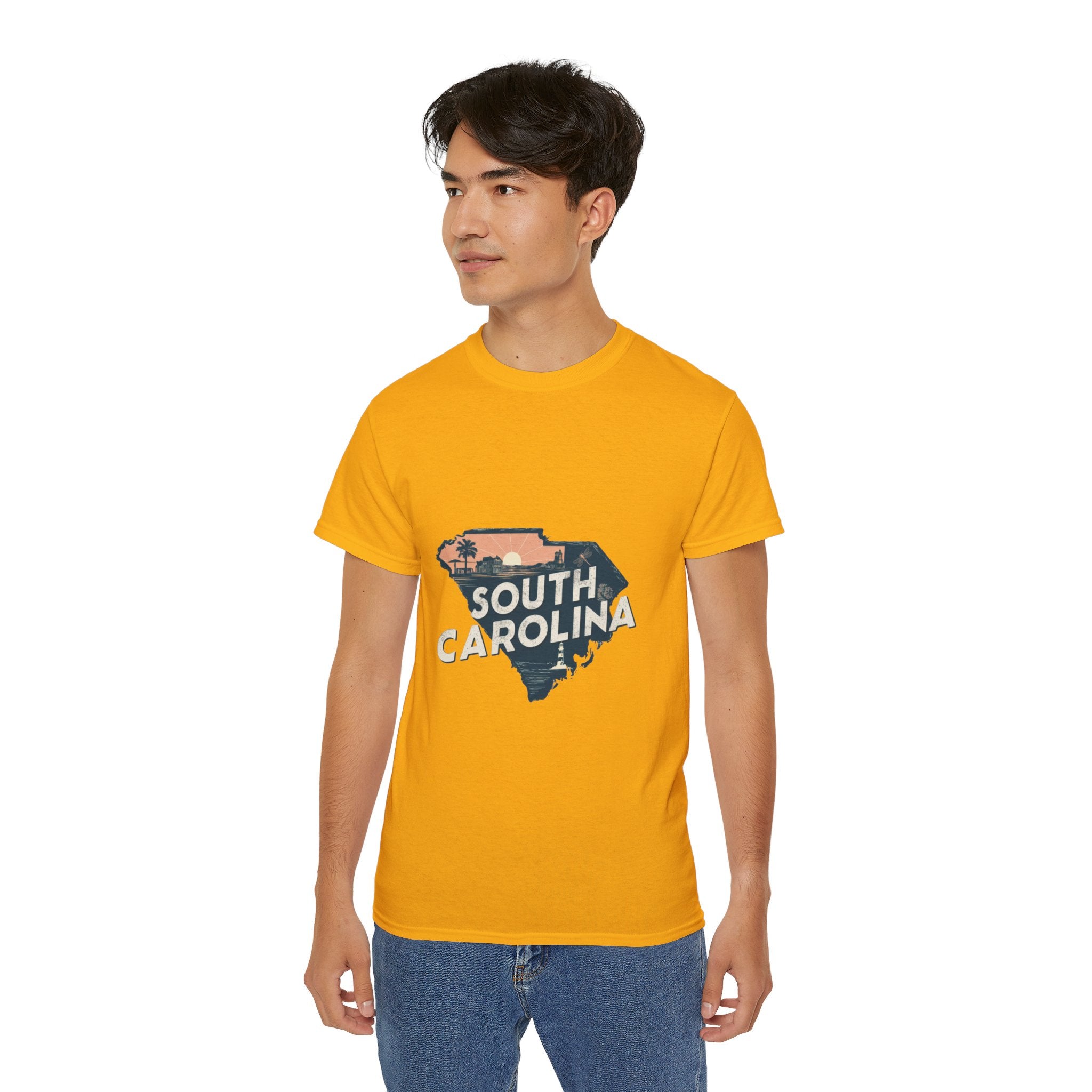 Retro  Iconic U.S. States : South Carolina t-shirt