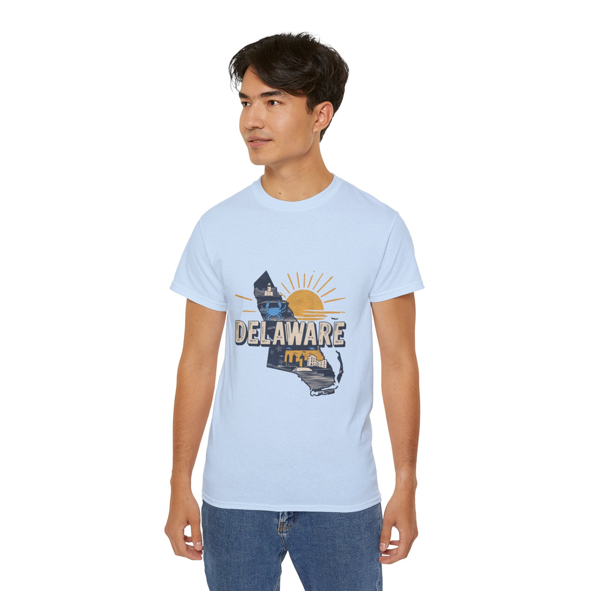 Retro  Iconic U.S. States : Delaware t-shirt