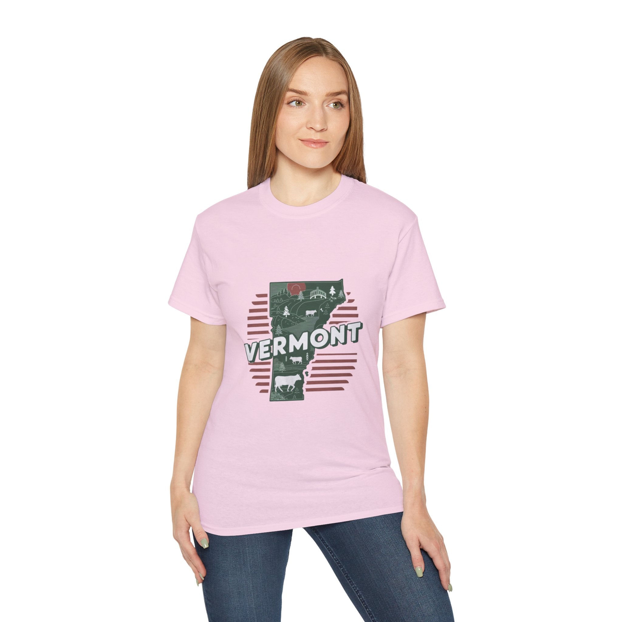 Retro  Iconic U.S. States : Vermont t-shirt