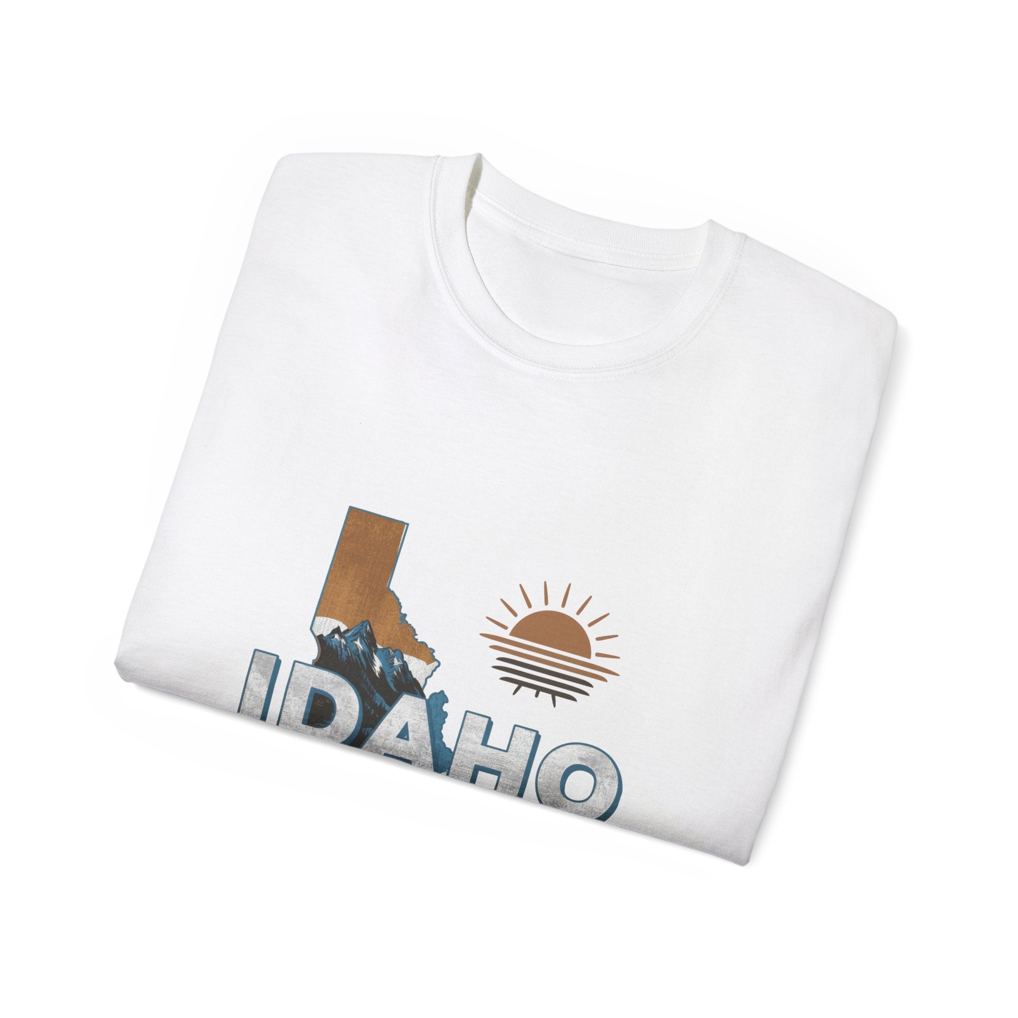 Retro  Iconic U.S. States : Idaho t-shirt