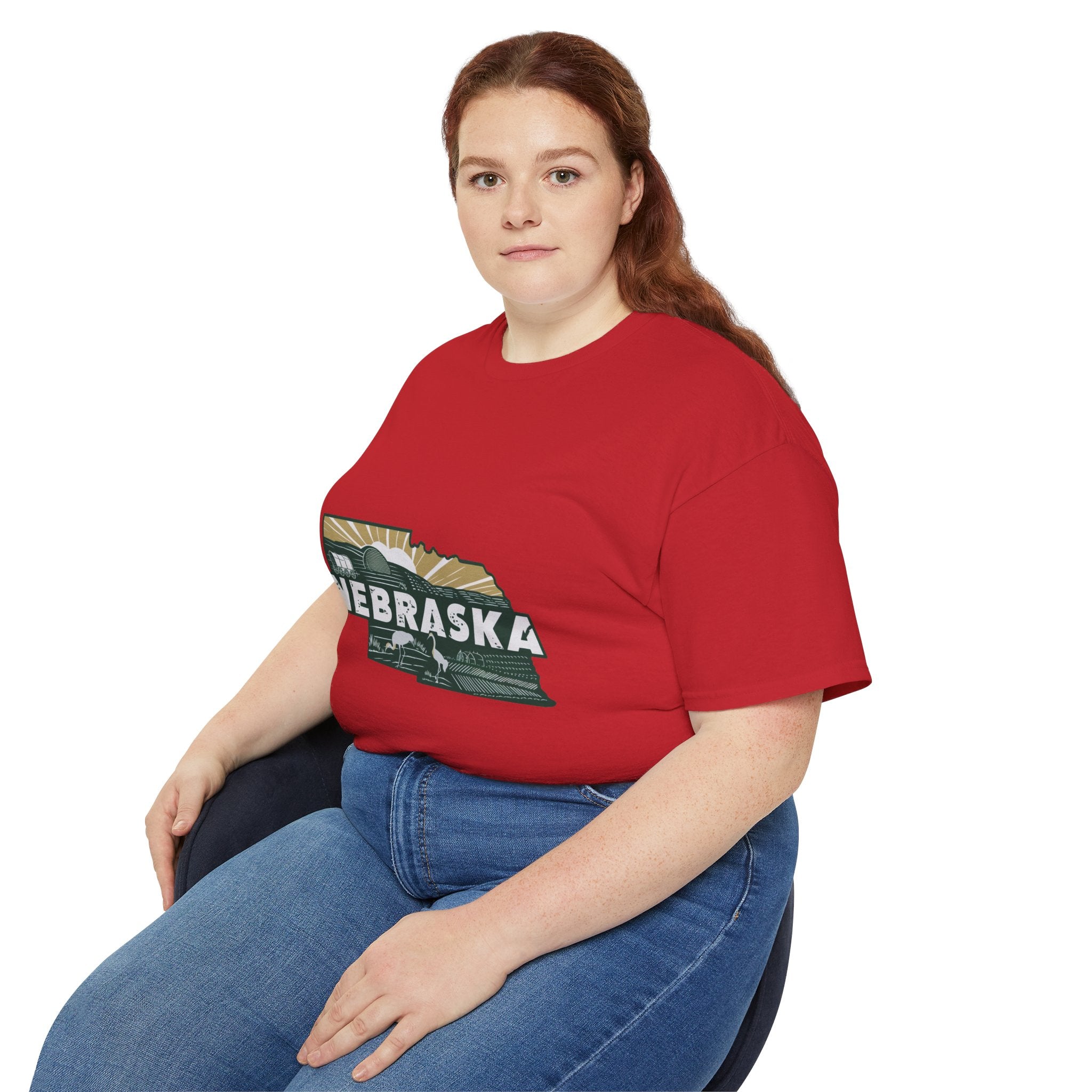 Retro  Iconic U.S. States : Nebraska t-shirt