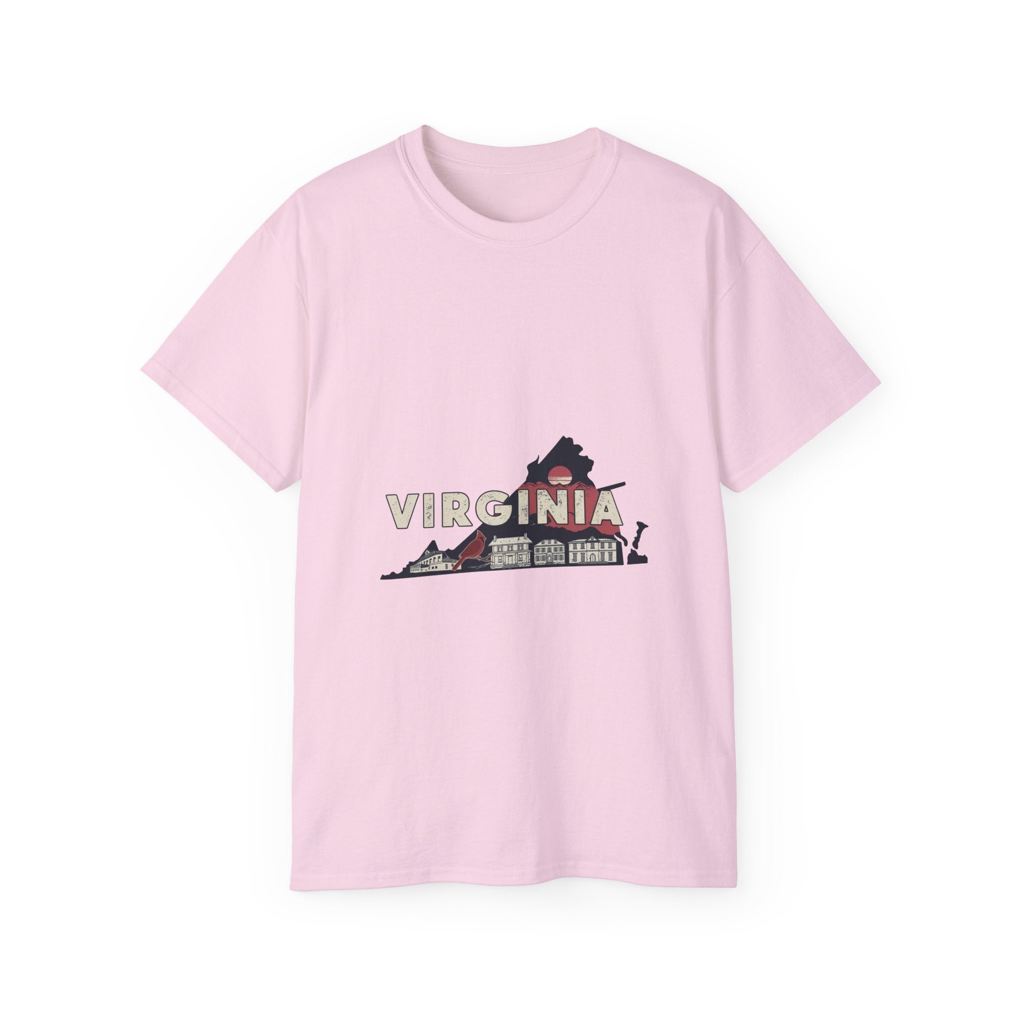 Retro  Iconic U.S. States : Virginia t-shirt