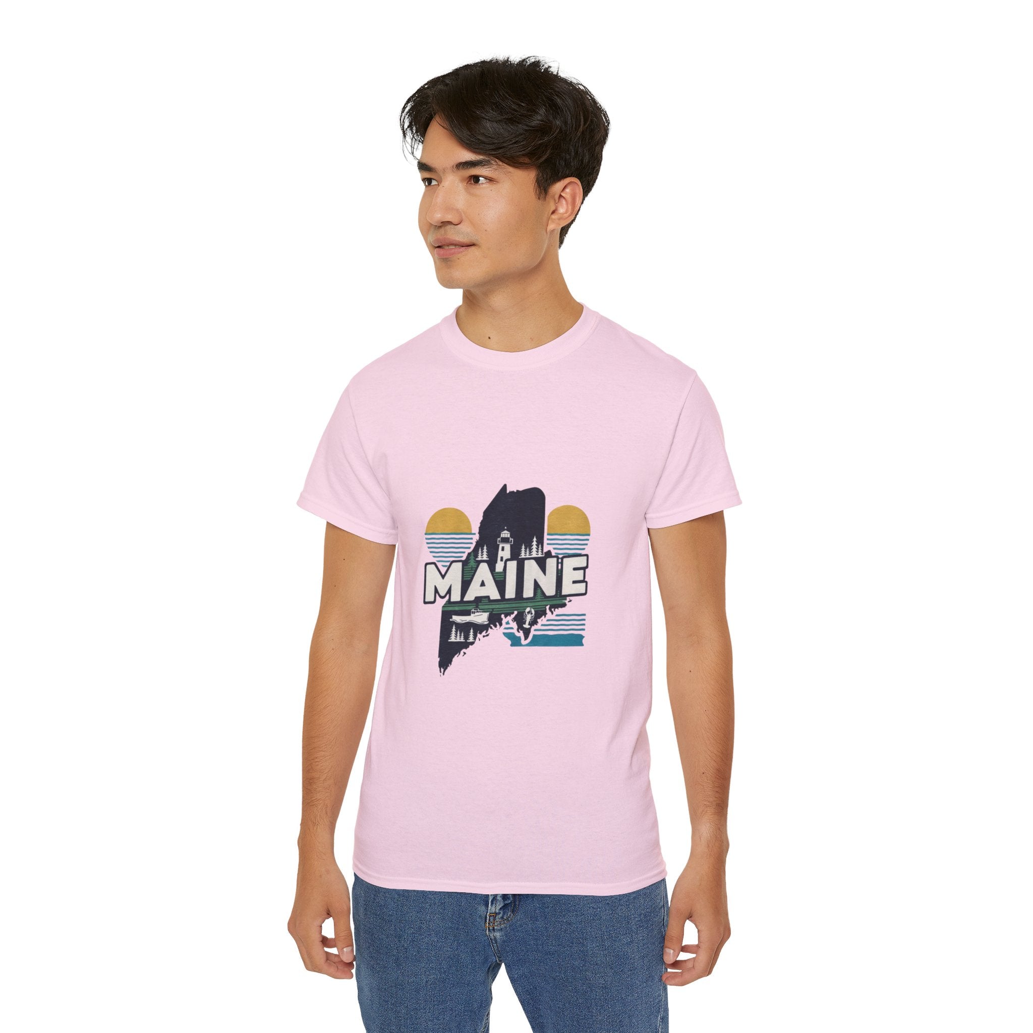 Retro  Iconic U.S. States :  Maine t-shirt